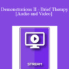 IC92 Workshop 27b - Demonstrations II - Brief Therapy: An Integrative Approach - Lynn Johnson