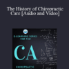 Fabrizio Mancini - The History of Chiropractic Care