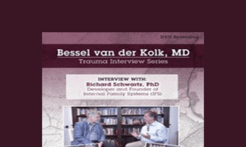 Bessel van der Kolk