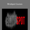 Brett Bartholomew – Blindspot Courses