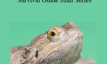 CPD - MS054 – Reptile Survival Guide Mini Series