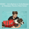 CPD - MS083 – Introduction to Hydrotherapy in Veterinary Practice Mini-Series