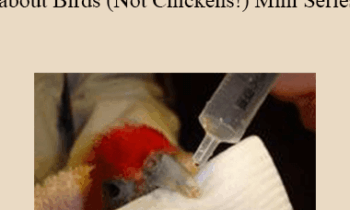 CPD - MS131 – Everything You Need to Know about Birds (Not Chickens!) Mini Series