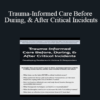 Carrie Steiner - Trauma-Informed Care Before