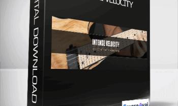 Claus Levin - INTENSE VELOCITY
