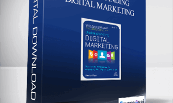 Damian Ryan - Understanding Digital Marketing