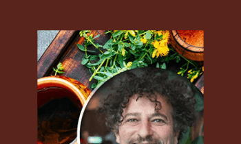 David Wolfe - Essentials Of Hormone Balance