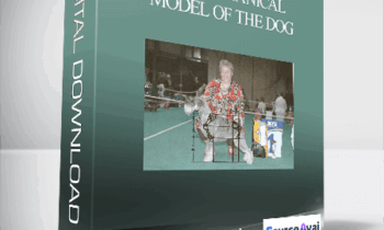 Dr Evgenij Yerusalimsky - BioMechanical Model of the Dog