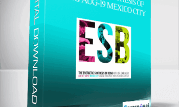 Dr. Dain Heer - Energetic Synthesis of Being Aug-19 Mexico City