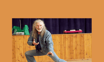 Erle Montaigue - Taiji to the Max V.1 - V.8