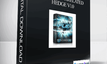 Flex EA Correlated Hedge V1.02