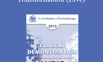 EP13 Clinical Demonstration 07 - Generative Trance and Transformation (Live) - Stephen Gilligan