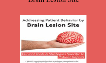 Jerome Quellier - Addressing Patient Behavior by Brain Lesion Site: Clinical Tools & Strategies Specific to Patient Deficits