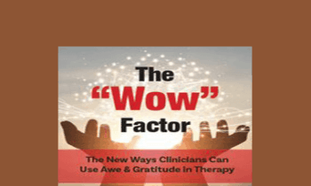 Jonah Paquette - The “Wow” Factor: The New Ways Clinicians Can Use Awe and Gratitude in Therapy