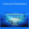Judah Lyons - Craniosacral Biodynamics