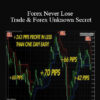 Karl Dittmann – Forex Never Lose Trade & Forex Unknown Secret