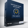NICABM – The Treating Trauma Master Series