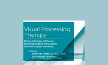 Leonard Press - Visual Processing Therapy: Helping Individuals with Sensory Processing Disorders