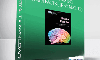 Louis Vera - Portocarrero - Brain Facts (Gray Matter)