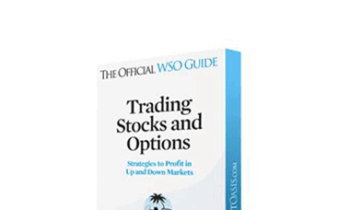 Patrick Curtis - The Guide to Trading Stocks & Options