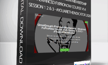 Philip Anglade - OmniGroup's Premium Membership - Advanced FxProNow Course v1.4 - Session 1 2 & 3 - #YouAreTheIndicator 2020