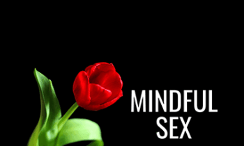Pleasure Mechanics - Mindful Sex