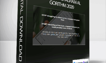 Rachel Paul - Beat the Instagram Algorithm 2020