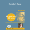 Rick Hanson - Buddha's Brain: The Practical Neuroscience of Happiness