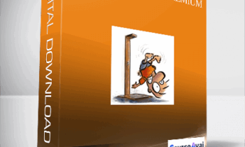 Sean D’Souza – Chaos Planning Premium