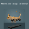 Terry Schmidt - Sharpen Your Strategic Superpowers