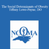 Tiffany Lowe Lowe Payne - The Social Determinants of Obesity - Tiffany Lowe-Payne