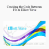 Todd Gordon - Cracking the Code Between Fib & Elliott Wave 2021