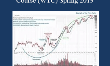 Wyckoff Analytics – Wyckoff Trading Course (WTC) Spring 2019