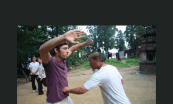 Da Gong : Big Dipper Body Protection  -  Wudang White Horse