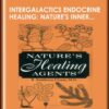 InterGalactics Endocrine Healing: Nature's Inner Pharmacopeia mp3s  -  Presence Healing Inc