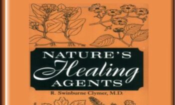 InterGalactics Endocrine Healing: Nature's Inner Pharmacopeia mp3s  -  Presence Healing Inc