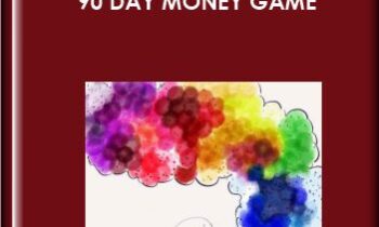 90 Day Money Game  -  Rich Litvin