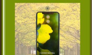 Ginko Biloba  -  Eric Thompson