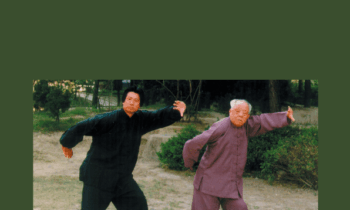 Healing Without Medicines: Daoyin Practices of Yin Style Bagua  -  Xie Pieqi