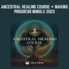 Ancestral Healing Course + Making Progress Bundle 2023 - Teal Swan