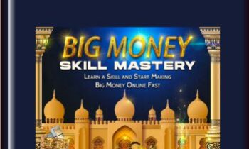 Big Money Skill Mastery  -  Ty Frankel