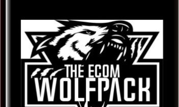 Dropshipping To Branding Course   -  The Ecom Wolf Pack