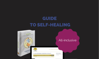 Guilde To Self-Healing - Vivotera