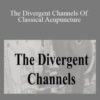 ACCM – The Divergent Channels Of Classical Acupuncture