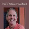 Alan Questel – What is Walking (Feldenkrais)
