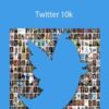 Alex Berman – Twitter 10k