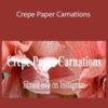 Amity Katharine Libby – Crepe Paper Carnations