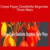 Amity Katharine Libby – Crepe Paper Doublette Begonias Three Ways