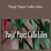 Amity Katharine Libby – ‘Pasja’ Paper Calla Lilies