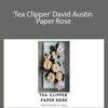 Amity Katharine Libby – ‘Tea Clipper’ David Austin Paper Rose